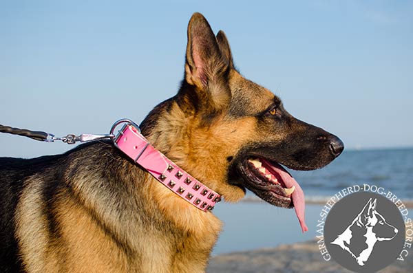 Pink German-Shepherd with Nickel-plated Riveted Hardware 