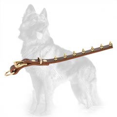 Riveted Brass Hardware on German-Shepherd Leather Dog Collar Decorated with Spikes