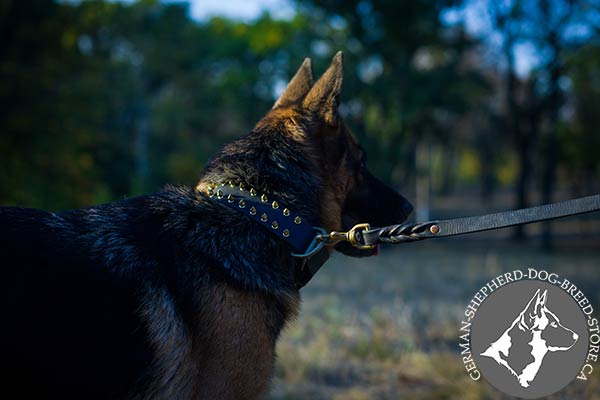 Spiked Leather German-Shepherd Collar for Best Control