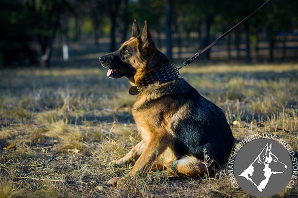 Spiked Leather German-Shepherd Collar - Supreme Width