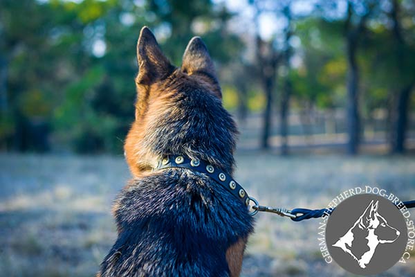 Studded German-Shepherd Collar with Strong Brass Hardware