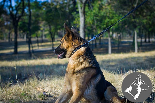 Studded Leather German-Shepherd Collar with Shiny Decor 