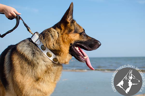 Adjustable White Leather Dog Collar with Brass Durable Hardware