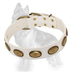 White Leather Dog Collar Decorated with Vintage Oval Brass Plates