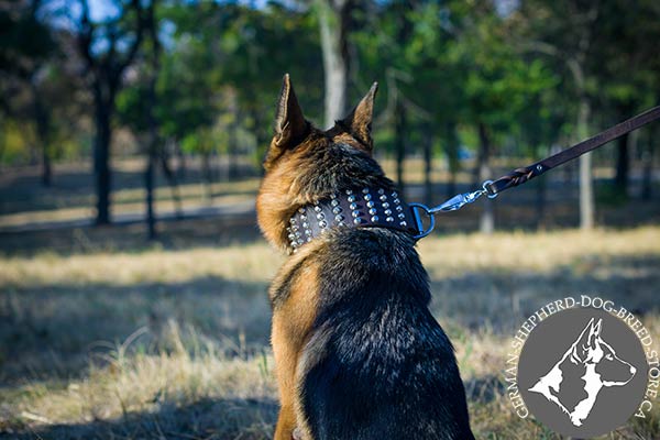 Adjustable Wide German-Shepherd Collar with Rust-proof Hardware 