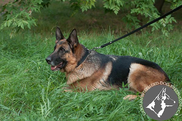 Super Wide Leather German-Shepherd Collar