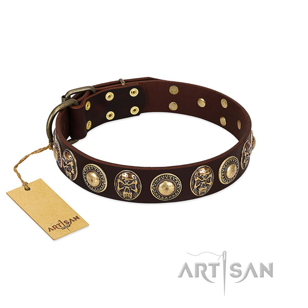 Extraordinary leather dog collar for stylish walking