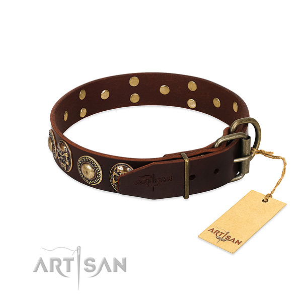 Rust resistant hardware on stylish walking dog collar