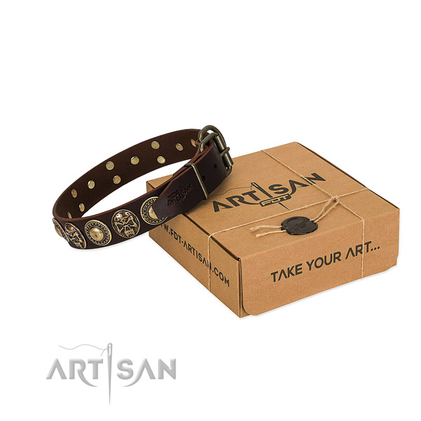 Reliable embellishments on dog collar for everyday walking