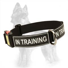 German-Shepherd Quick Release Buckle Collar