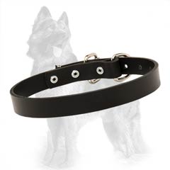 German-Shepherd Leather Collar