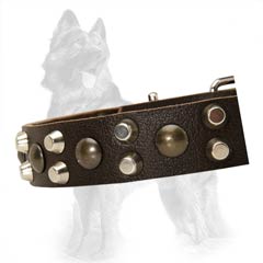 Leather Collar For German-Shepherd