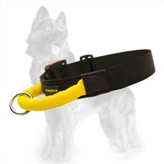 German-Shepherd Collar