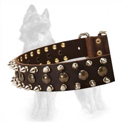 German-Shepherd Collar With Nickel Plated Spikes