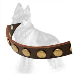 German-Shepherd Studded Leather Collar