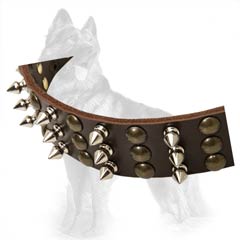 German-Shepherd Awesome Spiked Collar