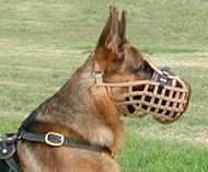 Dog training muzzle-leather muzzle for German Shepherd/Malinois