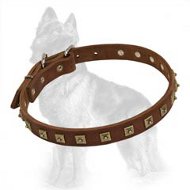 Stylish Genuine Leather Collar With Studs