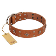 "Dreamy Gleam" FDT Artisan Tan Leather German Shepherd Collar Adorned with Stars and Squares