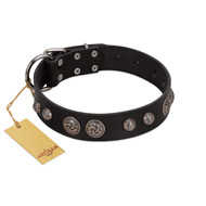"Tricky Ricky" FDT Artisan Black Leather German Shepherd Collar Adorned with Silver-Like Conchos