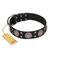 "Sun in Shining" Modern FDT Artisan Black Leather German Shepherd Collar with Studs and Stars