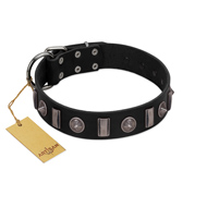 "Silver Spikes" Exclusive FDT Artisan Black Leather German Shepherd Collar