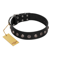 "Black Knight" Handmade FDT Artisan Black Leather German Shepherd Collar with Silver-Like Studs