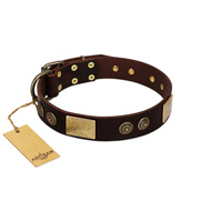 "Bow-Wow Effect" FDT Artisan Brown Leather German Shepherd Collar with Plates and Ornate Studs