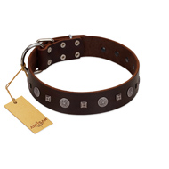 "Pure Sensation" Exclusive FDT Artisan Brown Leather German Shepherd Collar with Fancy Brooches and Studs