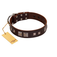 "Object of Virtu" FDT Artisan Brown Leather German Shepherd Collar with Old Silver-like Square Studs and Pyramids