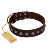 "Spring Flower" Stylish FDT Artisan Brown Leather German Shepherd Collar for Comfy Walks