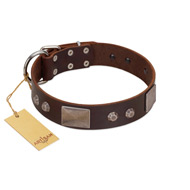 "Stone Stars" Stylish Handmade FDT Artisan Brown Leather German Shepherd Collar