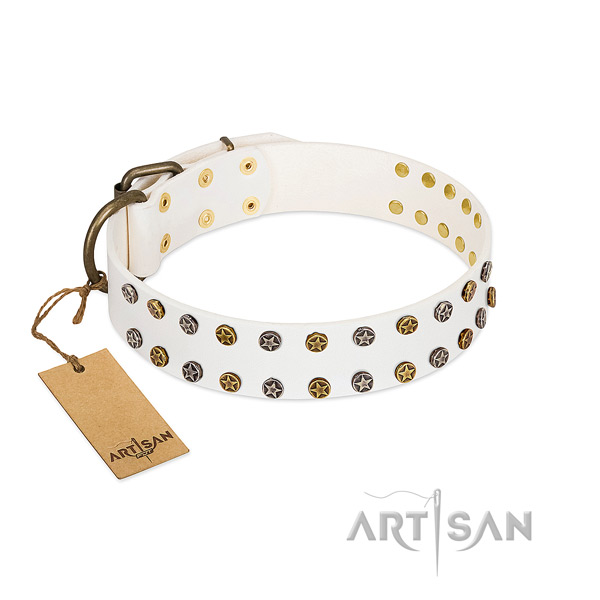 Fashionable leather dog collar with reliable adornments
