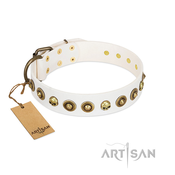 Full grain genuine leather collar with stunning embellishments for your canine