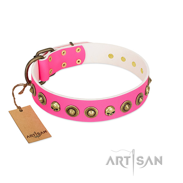 Amazing leather dog collar with corrosion resistant embellishments