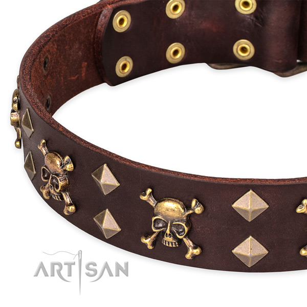 Everyday walking studded dog collar of top quality genuine leather