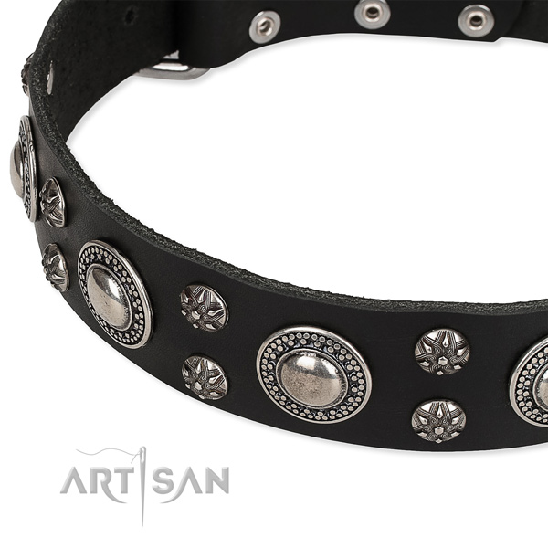 Comfortable wearing embellished dog collar of high quality full grain leather