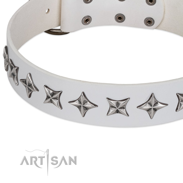 Everyday use decorated dog collar of top quality full grain natural leather