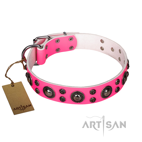 Comfortable wearing dog collar of high quality full grain genuine leather with decorations