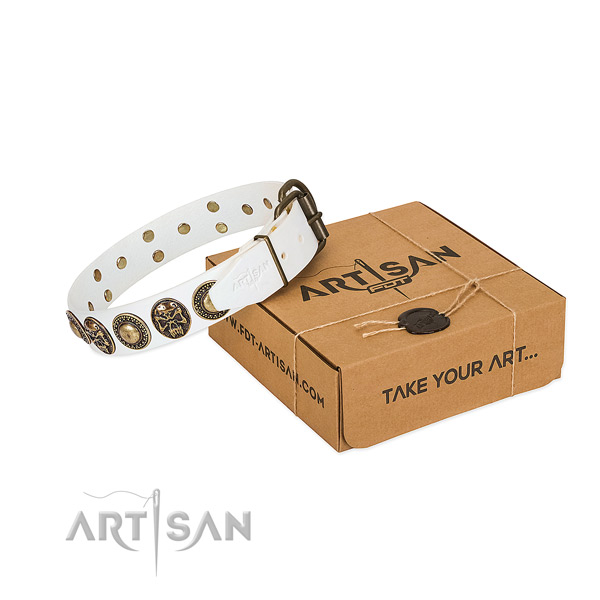 Reliable fittings on dog collar for easy wearing
