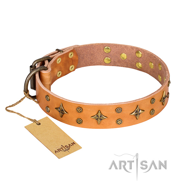 Handy use dog collar of top quality leather with studs