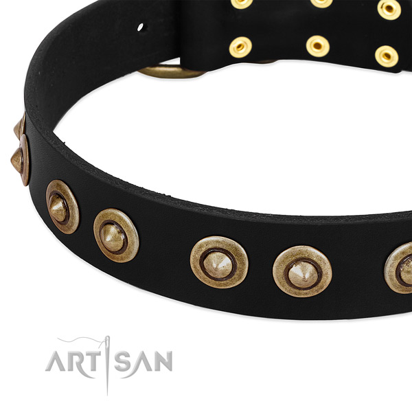 Rust-proof embellishments on natural genuine leather dog collar for your canine