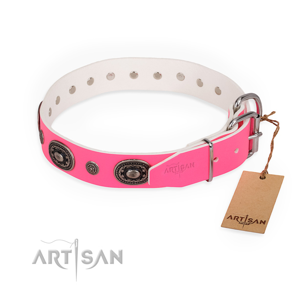 Comfy wearing unusual dog collar with rust resistant fittings