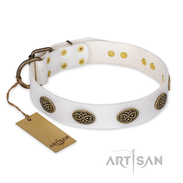 Designer genuine leather dog collar with strong fittings