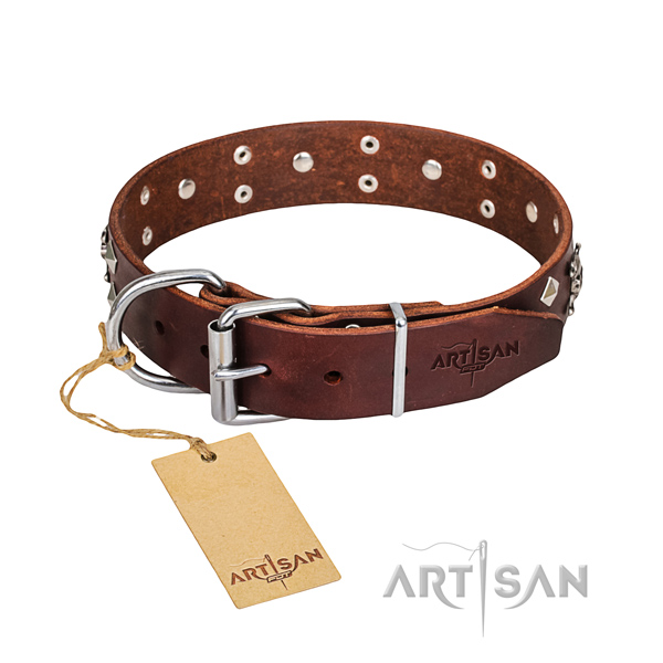 Daily walking dog collar of fine quality leather with studs