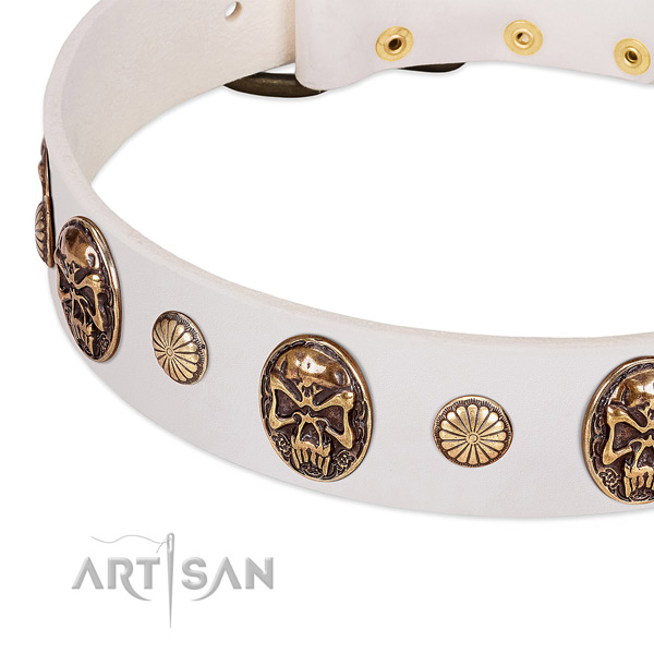 Rust resistant D-ring on leather dog collar for your four-legged friend