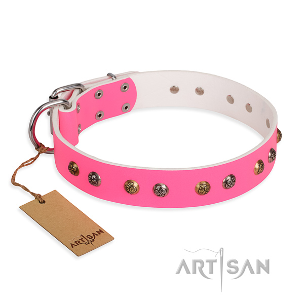 Easy wearing extraordinary dog collar with rust resistant buckle