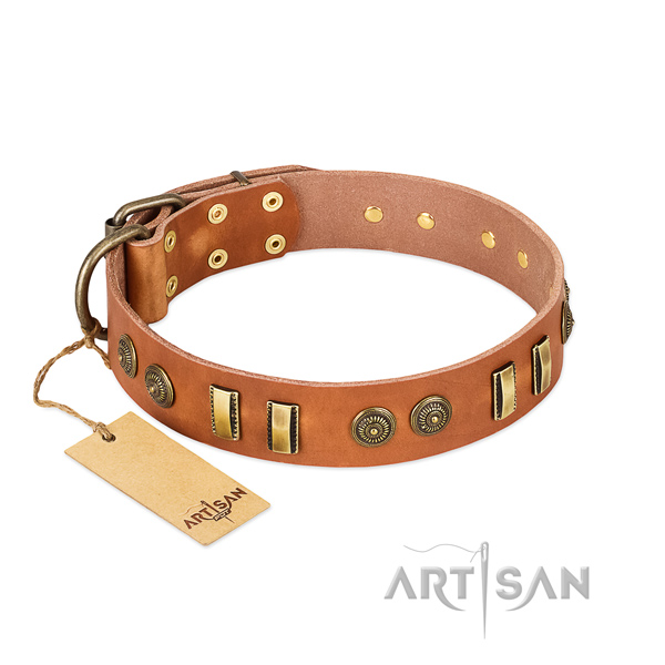 Corrosion resistant decorations on genuine leather dog collar for your dog