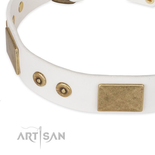 Strong studs on leather dog collar for your dog
