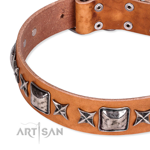 Handy use studded dog collar of top quality full grain genuine leather